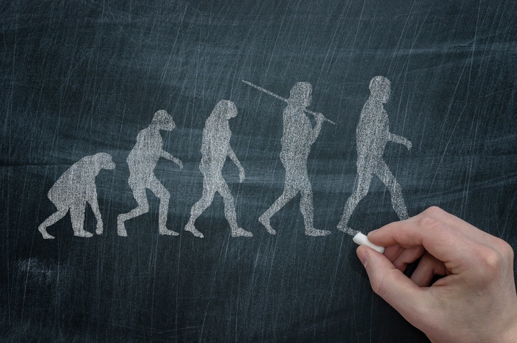 a chalk drawing of the evolution of man